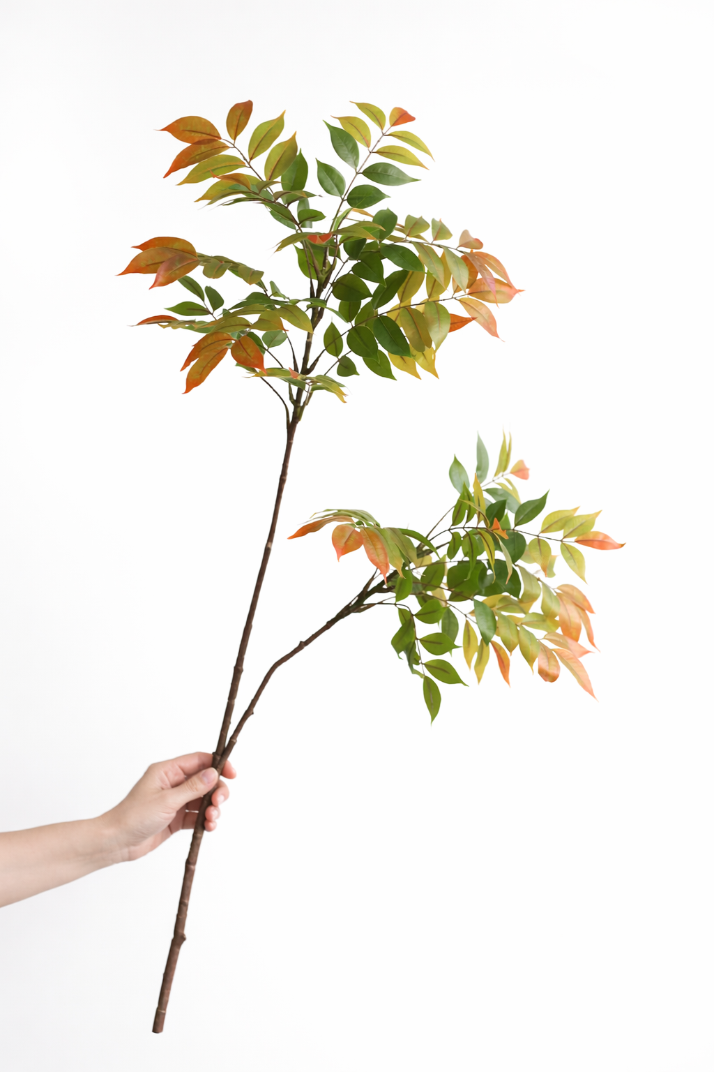 Luxe Wisteria Foliage Branch — 43” Designer Greenery Stem