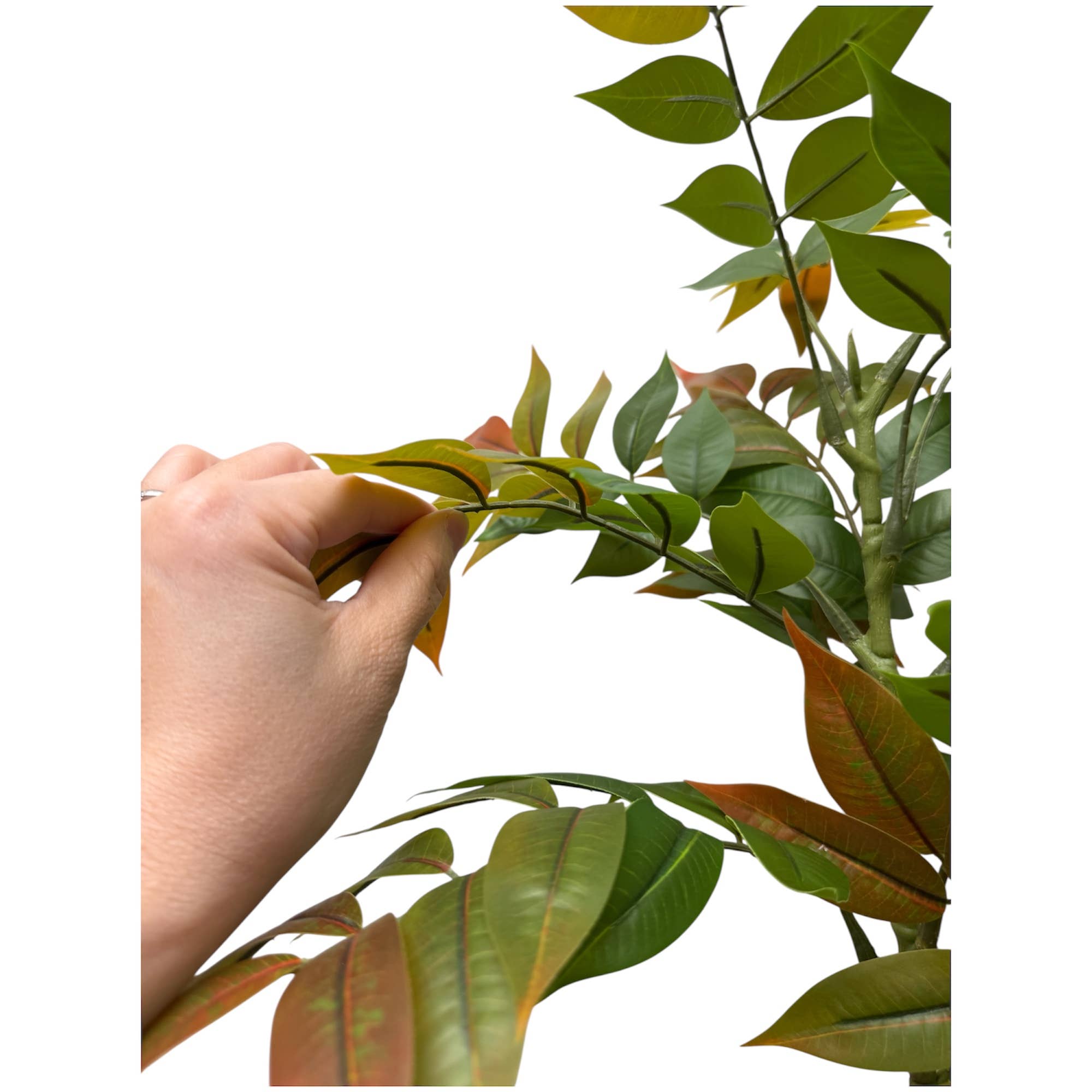 Luxe Wisteria Foliage Branch — 43” Designer Greenery Stem