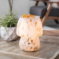 Art Glass Lamp Vintage Bulb Illumination Fragrance Warmer