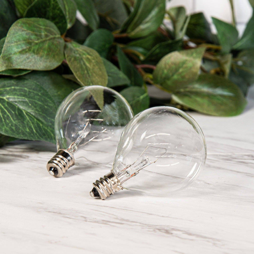 25 Watt Warmer Light Bulb (2pk)
