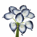 Pack of 10-Lifelike Real Touch Calla lily-Navy Collection