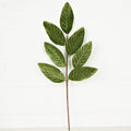 30003- 24in Spray-Green Velvet Magnolia Leaves-