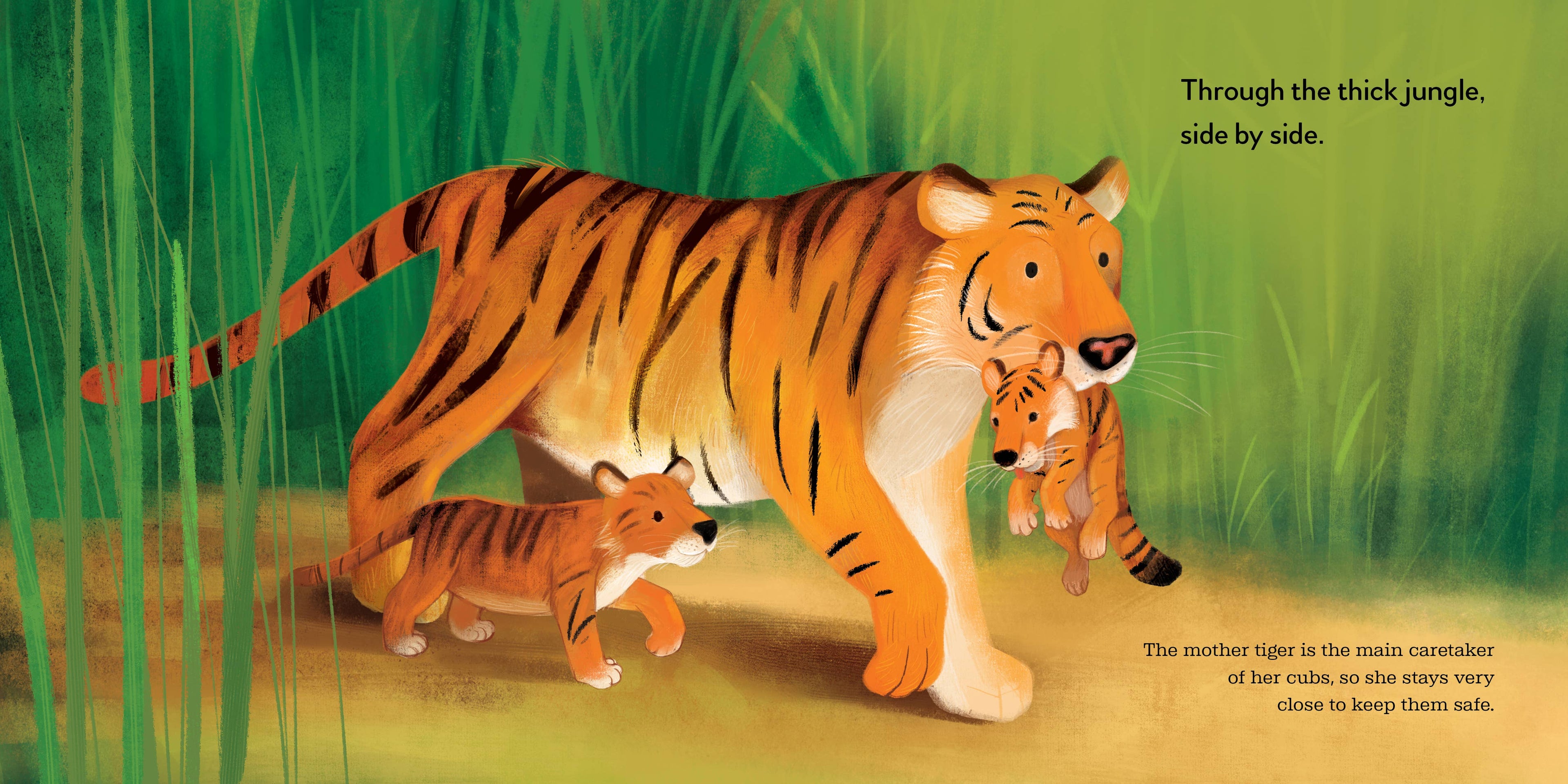 Animal Snuggles