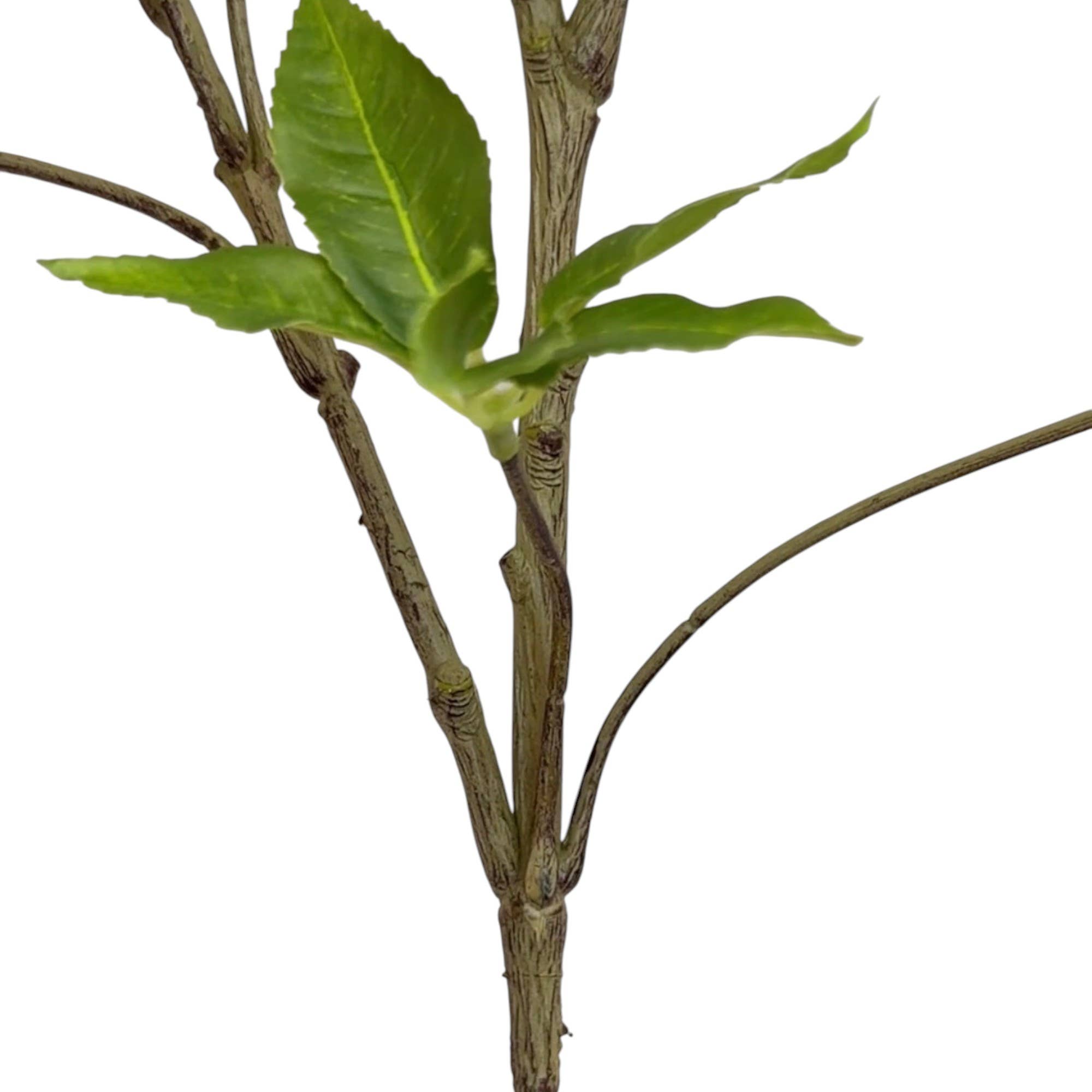 31” Designer Greenery Stem-Real Touch Artificial Willow