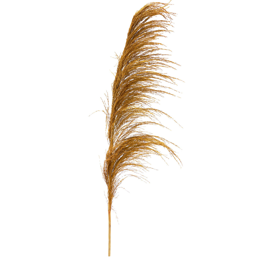 Yellow Common Reed Floral Pick