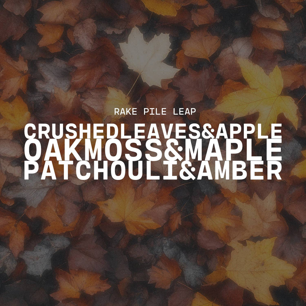 Car Freshener: Rake, Pile, Leap!