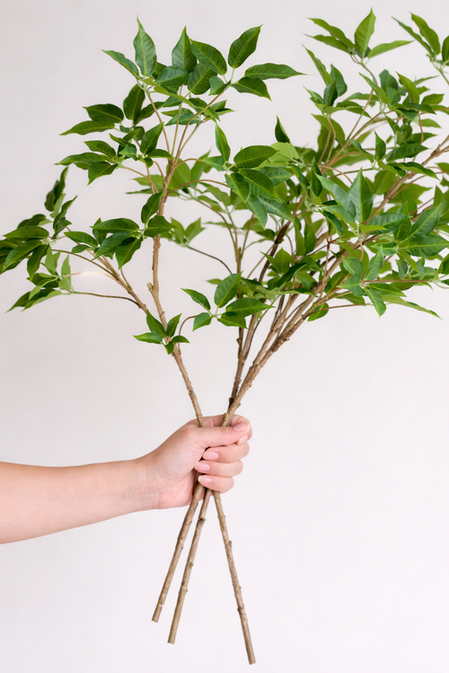 31” Designer Greenery Stem-Real Touch Artificial Willow