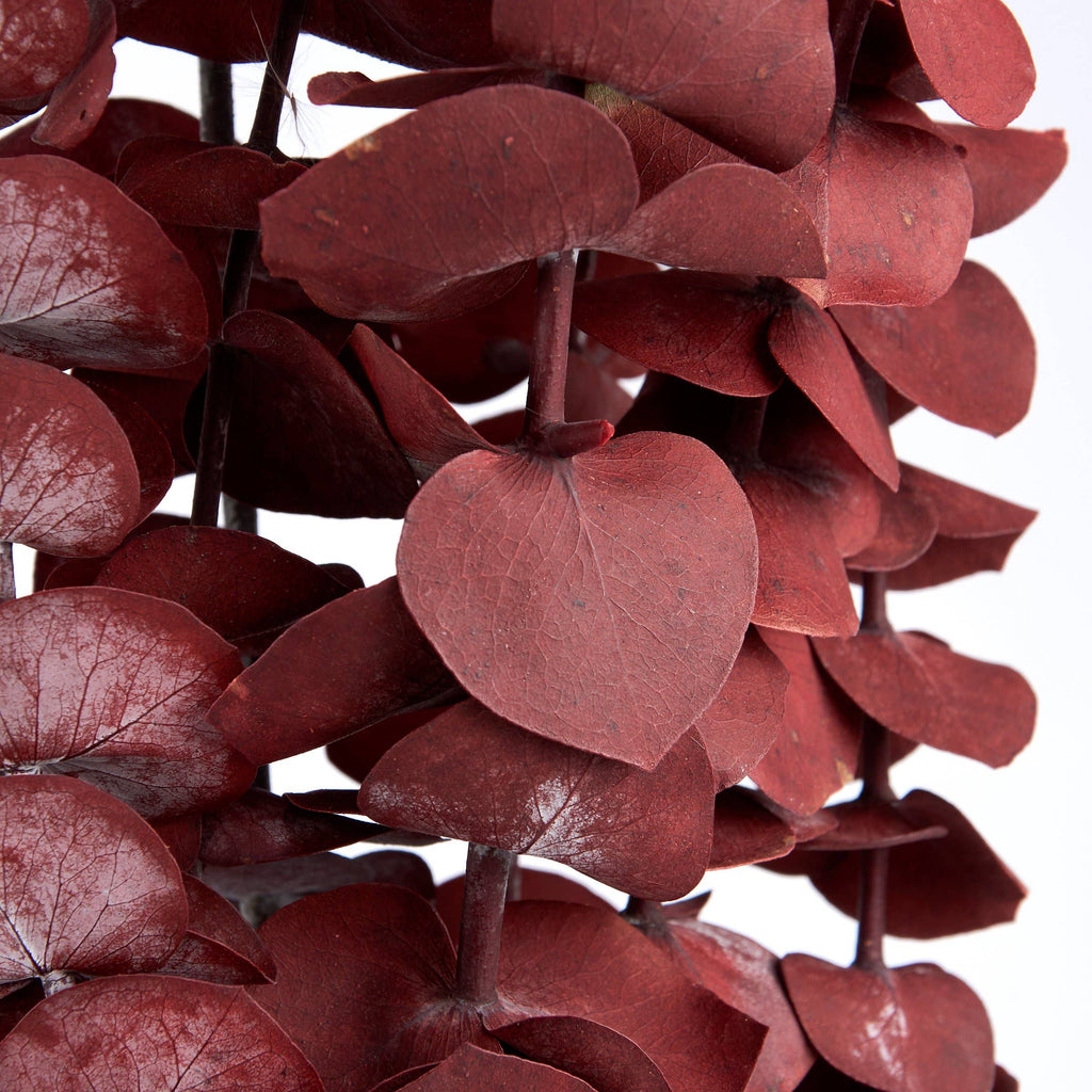 Dark Red Eucalyptus Bouquet
