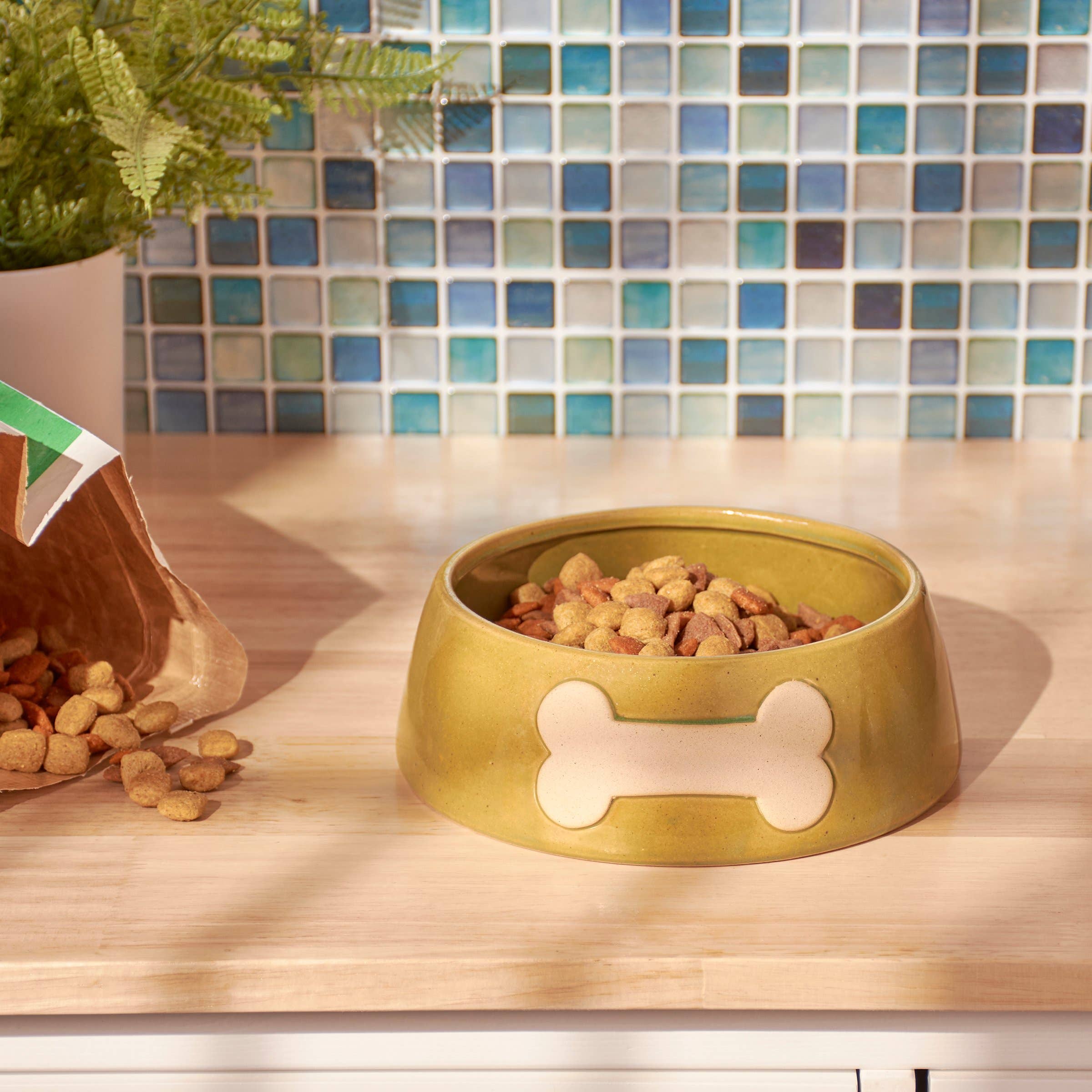 Large Bone Pet Bowl