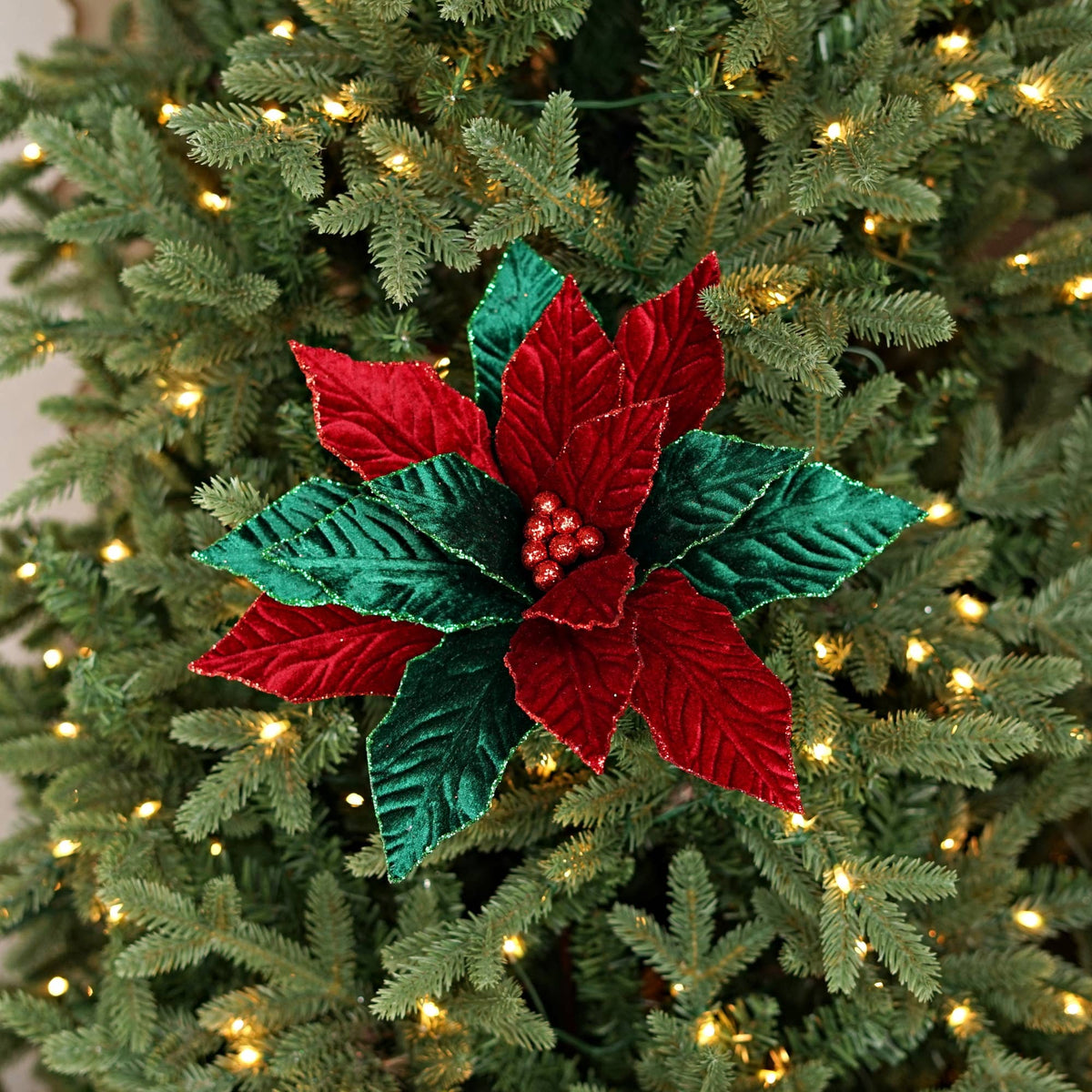 511050- Velvet Poinsettia w. Glitter Edge-Classic Red Green-
