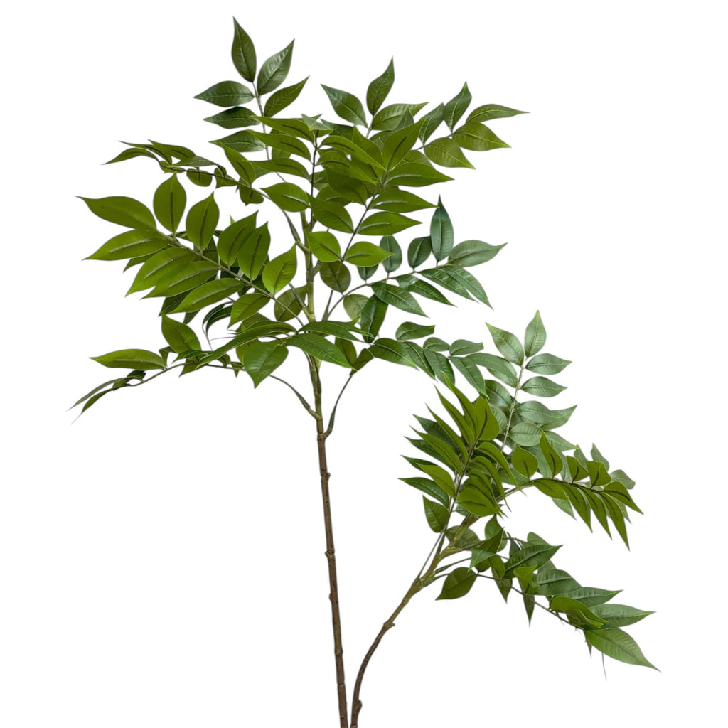 Luxe Wisteria Foliage Branch — 43” Designer Greenery Stem