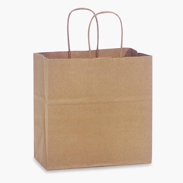Recycled Brown Kraft Paper Retail Shopping Bags