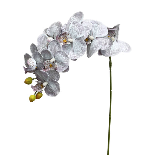 36" Real touch Large bloom Phalaenopsis Orchid-9 Flowers