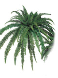 Boston Fern 82" Diameter 77 Fronds Faux