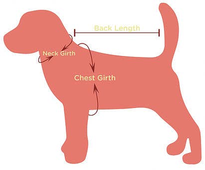DIY Pet Collar Bar Starter Pack - High Desert- 280 Pieces