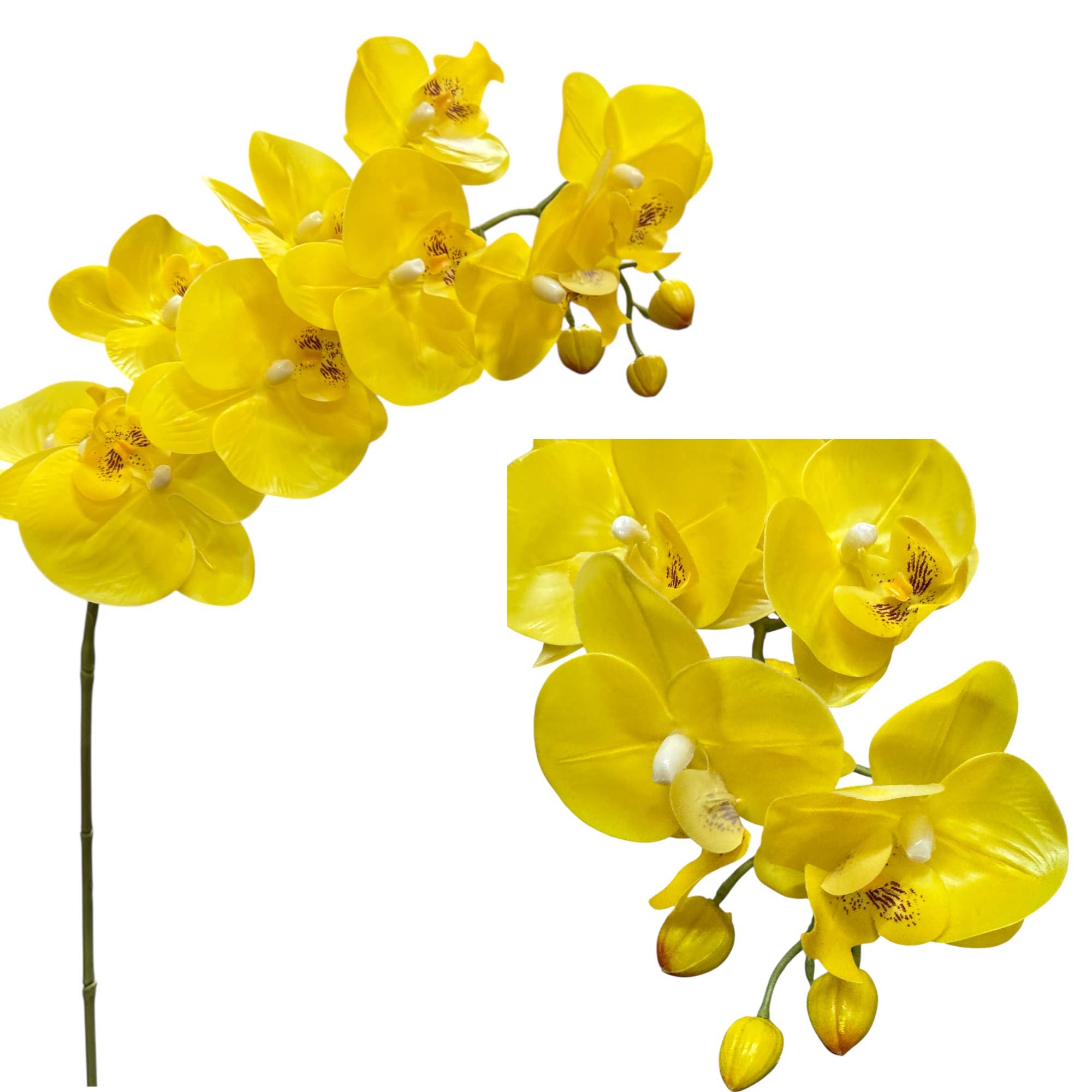 36" Real touch Large bloom Phalaenopsis Orchid-9 Flowers