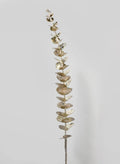 25in Champagne Eucalyptus Spray