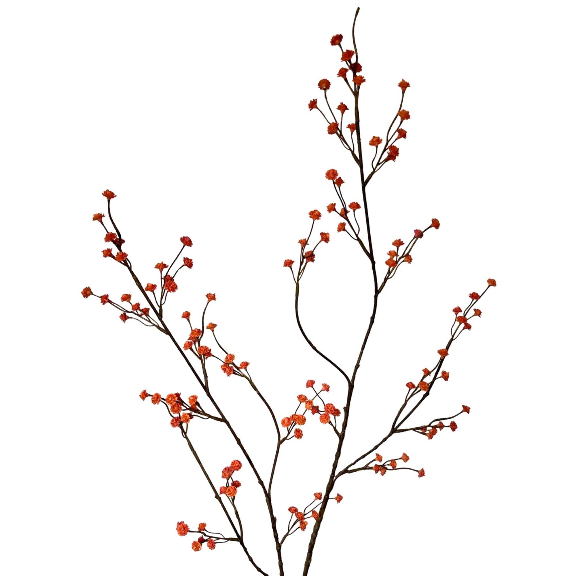 Gypsophila Branch 45" - Orange