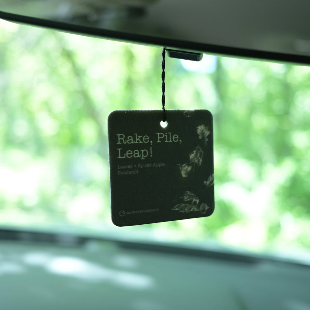 Car Freshener: Rake, Pile, Leap!