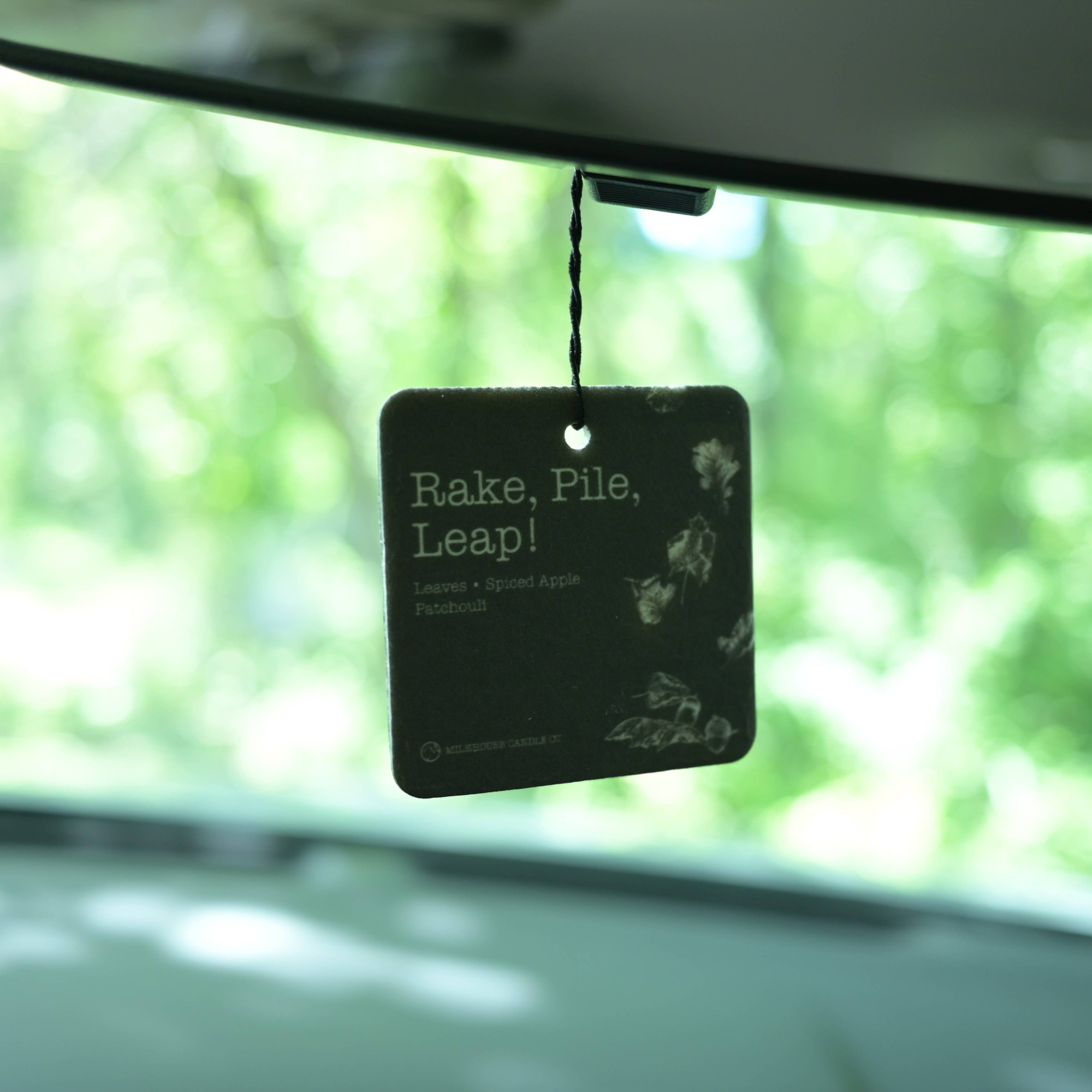 Car Freshener: Rake, Pile, Leap!