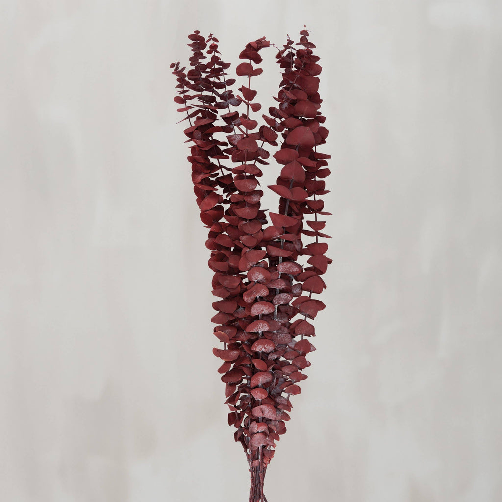 Dark Red Eucalyptus Bouquet