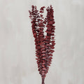 Dark Red Eucalyptus Bouquet