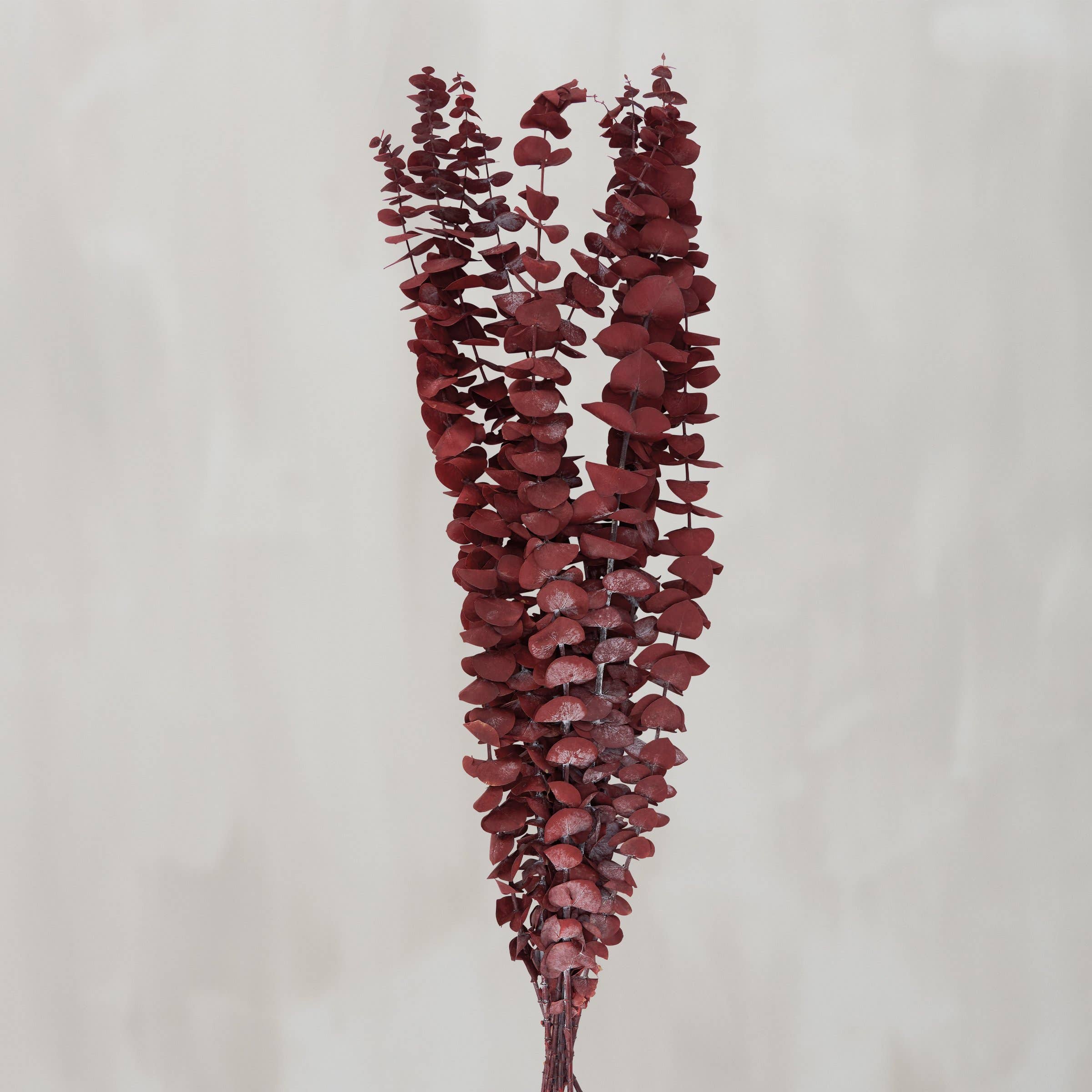 Dark Red Eucalyptus Bouquet