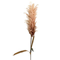 44" Pampas Stem - Cream/Brown