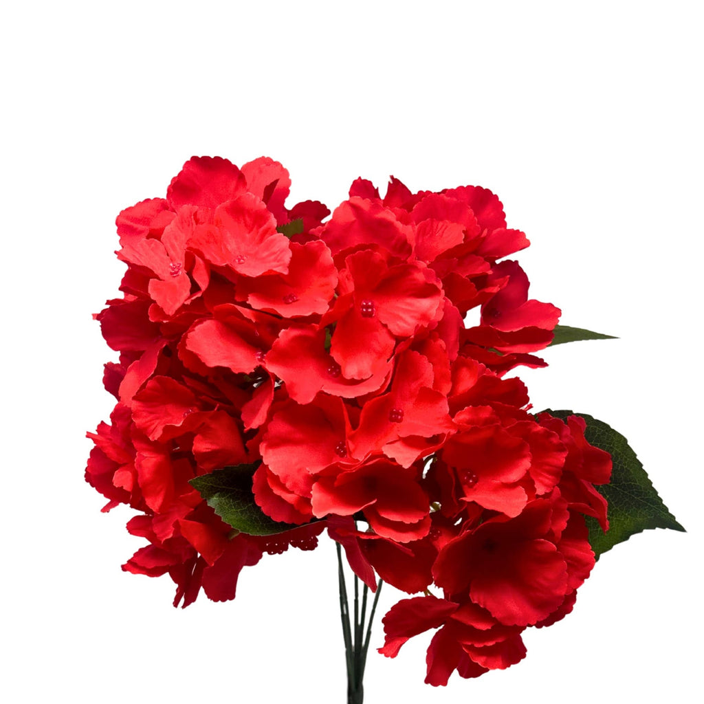 Southern Hydrangea Bush x5 - 18" Red