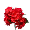 Southern Hydrangea Bush x5 - 18" Red