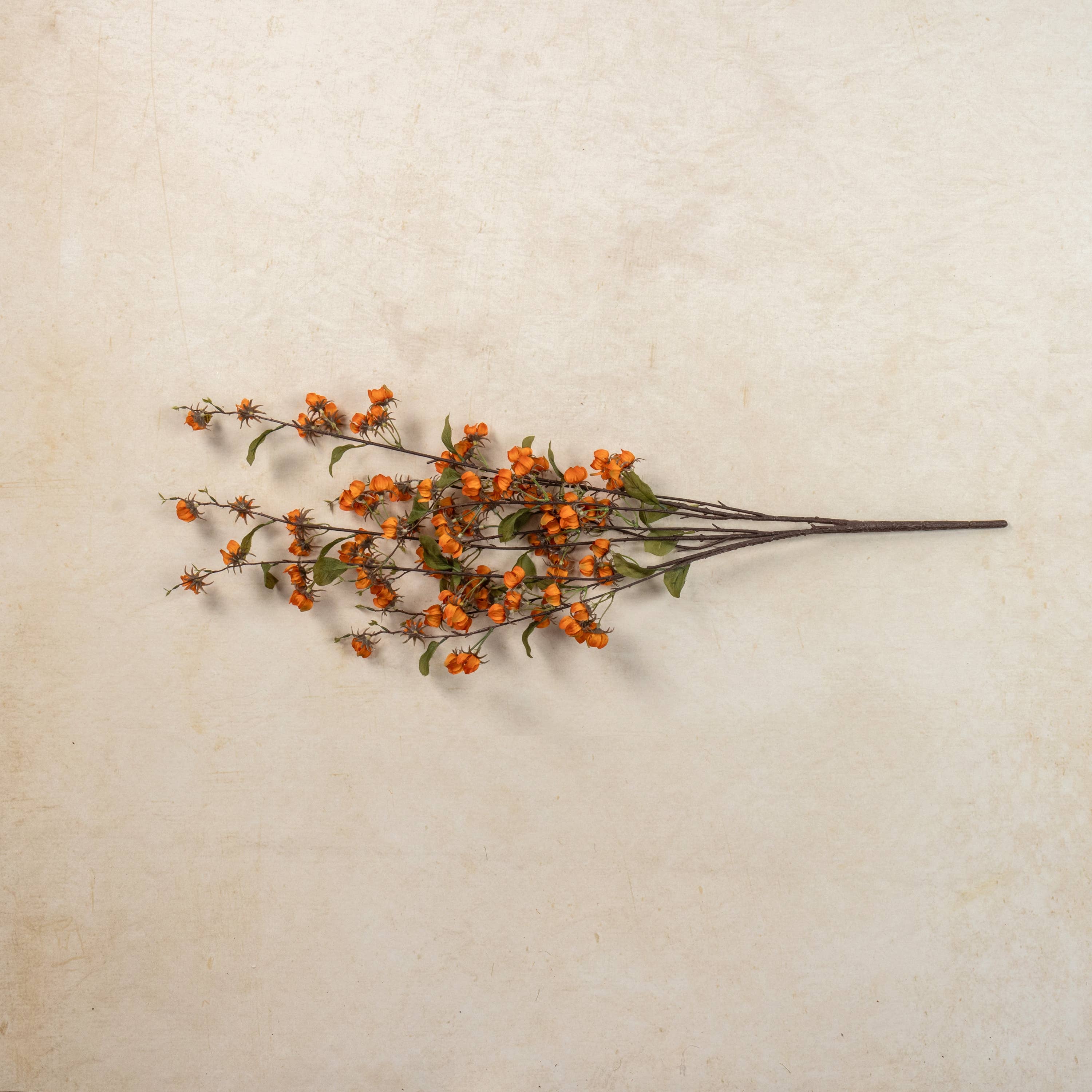 36" ORANGE WILD LANTERN BUSH