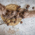 38" BROWN CHINESE LANTERN SPRAY