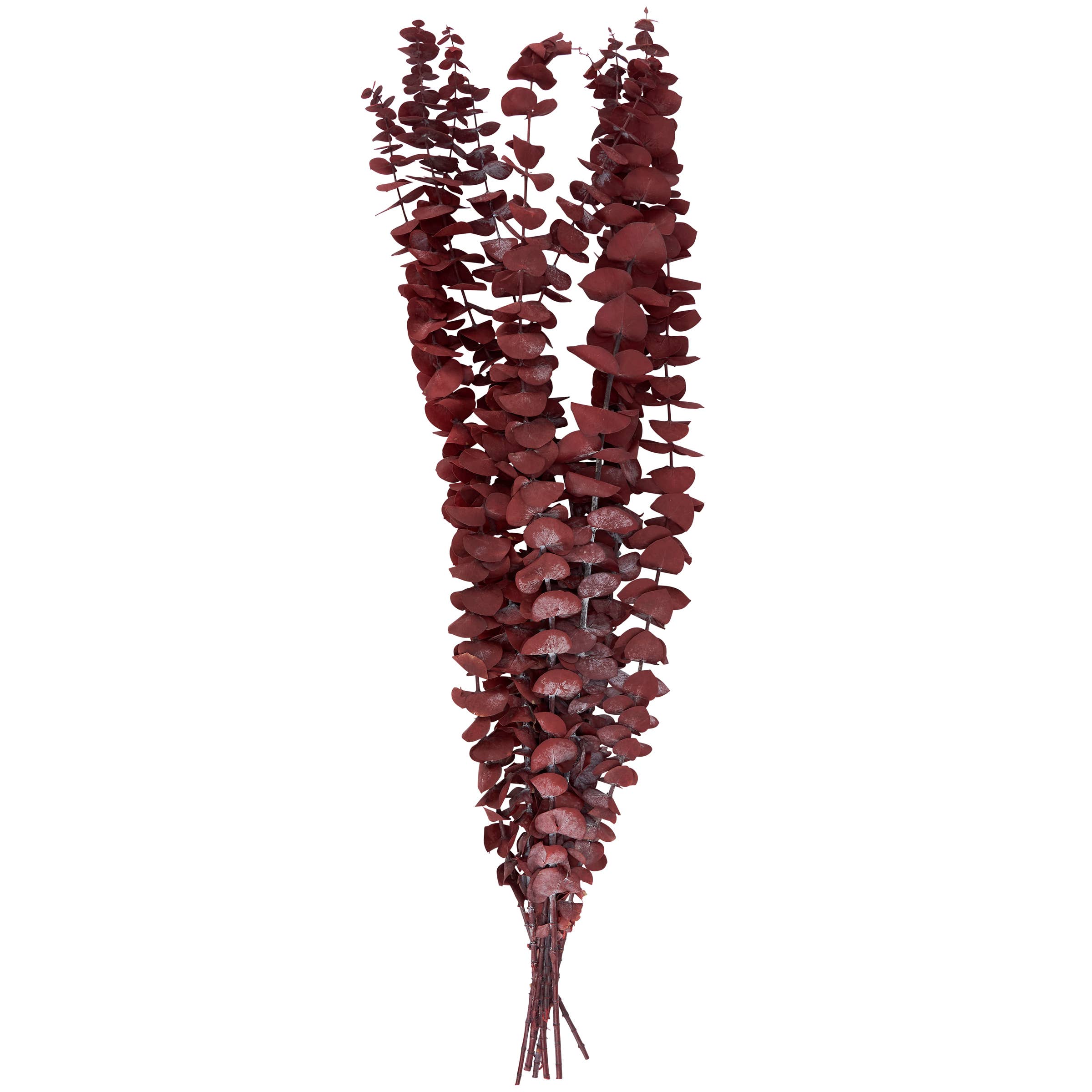 Dark Red Eucalyptus Bouquet